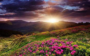 Sunrise , Dawn beauty, Scenic view, Morning serenity HD wallpaper