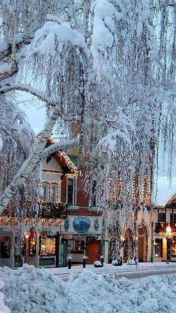 Winter, White Cool Season, Nature HD phone wallpaper