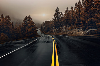 Road Between Woods, road, graphy, nature HD wallpaper