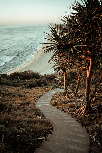 Nature, Palms, Ocean, Ladder, Stairs HD phone wallpaper