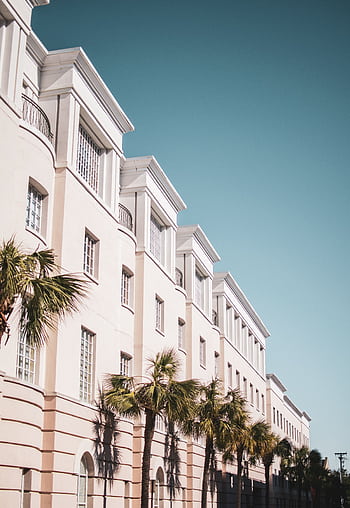 Bright modern building facade with palm trees against a clear blue sky. HD phone wallpaper