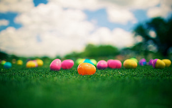 Grass, Bright, Miscellanea, Miscellaneous, Multicolored, Motley, Beads HD wallpaper
