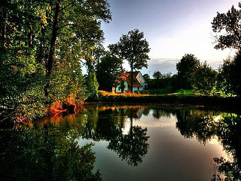 reflections1, trees, reflections1, lake HD wallpaper