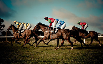 Sports, People, Horses HD wallpaper