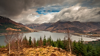 Landscape, Nature, Grass, Sky, Mountains, Autumn, Clouds, Birches, Lake, Coniferous, Forest, Thick, Withered, It's A Sly, View HD wallpaper