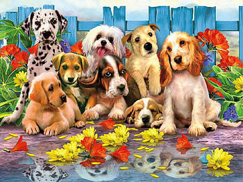 Puppies, dog, art, cute, summer, puppy, reflection, water, caine, vara HD wallpaper