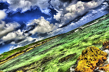 shore, water, vivid, beach HD wallpaper