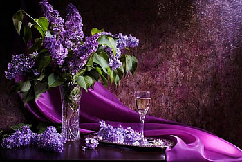 Still Life, purple, blossoms, lilacs, vase, flowers, spring HD wallpaper