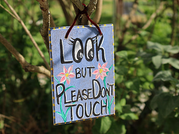 Funny, Words, Eyes, Phrase, Inscription HD wallpaper