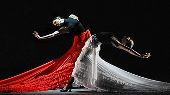 Flamenco Hoy, Flamenco HD wallpaper