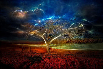 Nature, earth, light, clouds, sky, tree HD wallpaper