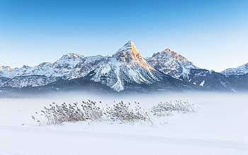 Mountains in Winter, winter, plants, snow, sky, mountains HD wallpaper