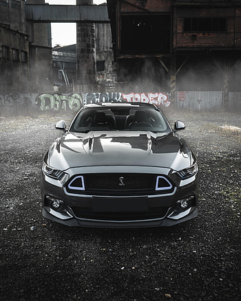 Cars, Car, Front View, Grey, Shelby, Shelby Mustang HD phone wallpaper