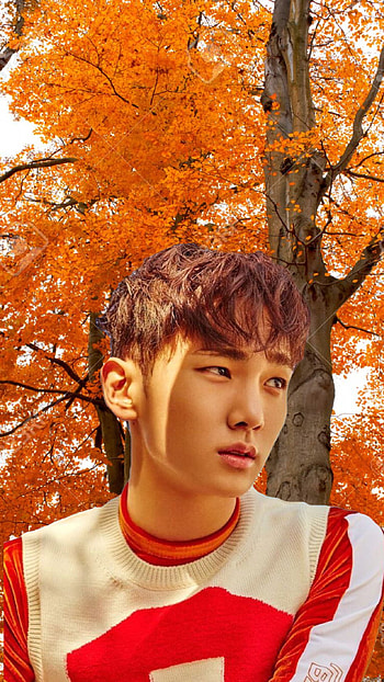 Key shinee , Artistic expressions, Eye-catching designs, Vibrant colors HD phone wallpaper