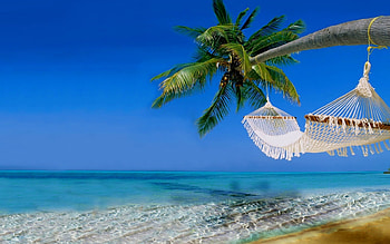swing in the blue, sea, palm tree, hammock, beach HD wallpaper