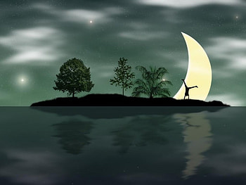 Night, abstract, moon, trees, water HD wallpaper