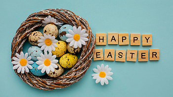 Yellow Blue Easter Eggs White Flowers Bamboo Basket Blue Background Happy Easter HD wallpaper