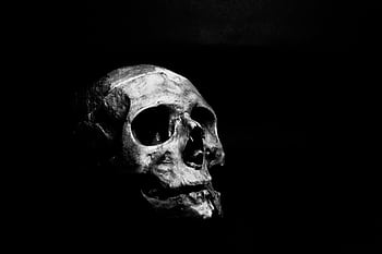 Moody black and white of a skull on a dark background. HD wallpaper