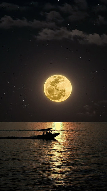 Moon Light, Night Sky Moon HD phone wallpaper