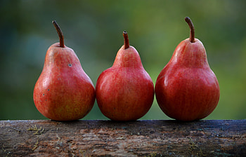 Fruits, Food, Pears, Ripe HD wallpaper