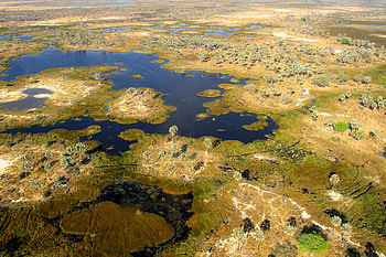 Botswana Globetrotter, African specialist, Unforgettable journeys, Safari experiences HD wallpaper
