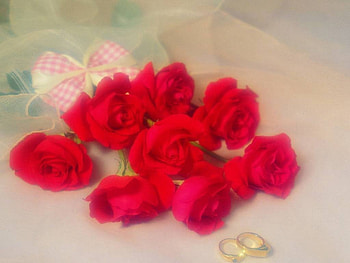 Red Roses and Golden Rings, flowers, jewelry, bouquet red roses, gold rings, bow HD wallpaper