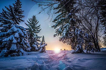 Winter's twilight, snow, trees, nature, sun, sunset, winter, ines, graphy, landscape, charm, twilight HD wallpaper