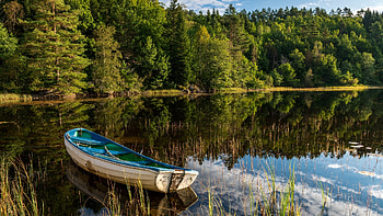 Lake in Norway, water, scandinavia, forest, boat, landscape, reflections HD wallpaper