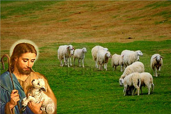 Jesus the good shepherd, god, sheep, jesus, christ, shepherd HD wallpaper