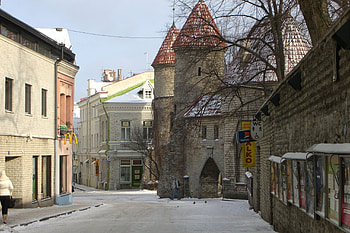 Old city Tallinn, Harju County, , backgrounds HD wallpaper