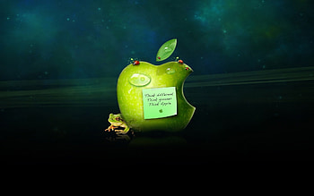 Brands, Background, Apple HD wallpaper