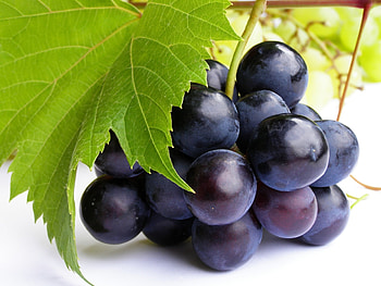 Food, Grapes, Sheet, Leaf, Berry, Twig, Sprig HD wallpaper