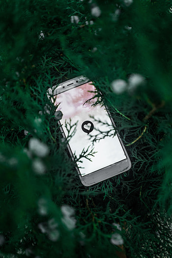 Plant, Branches, Heart, Symbol, Technologies, Technology, Screen, Tele HD phone wallpaper