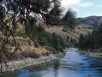 Calming river, forests, nature, mountains, rivers HD wallpaper