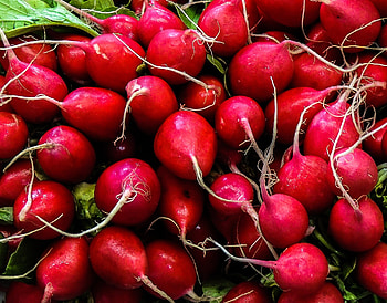 Produce, Long term storage, Positively probiotic HD wallpaper