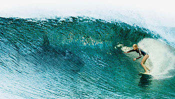 The Shallows (2022) movie HD wallpaper