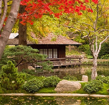 Japanese Tea House, architecture, Japanese, garden, tea house, fall season HD wallpaper