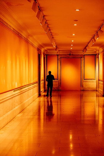 Silhouette, Miscellanea, Miscellaneous, Corridor, Room, Premises, Human, Person HD phone wallpaper