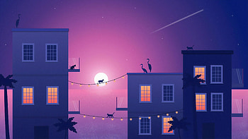 Beach Animals , artist, artwork, digital-art, cat, birds HD wallpaper