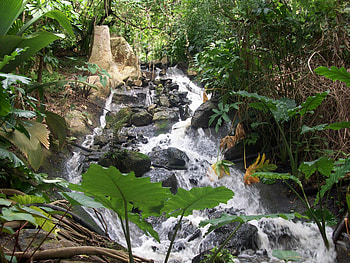 Waterfall, trees, nature, rocks HD wallpaper