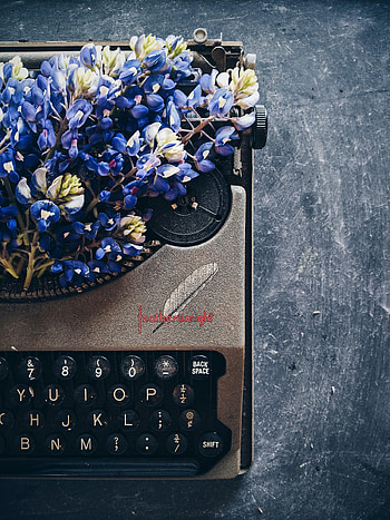 Flowers, Miscellanea, Miscellaneous, Typewriter, Lupins HD phone wallpaper