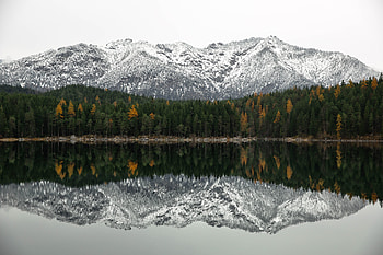 Mountains, reflections, lake, tree HD wallpaper