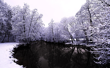 Landscape, Winter, Nature, Snow, Lakes HD wallpaper