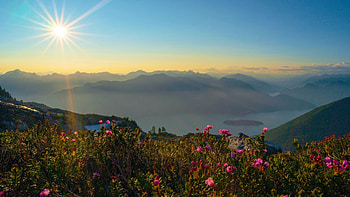 Pitt Lake, British Columbia, Canada, clouds, sky, flowers, mountains, rocks, sunset HD wallpaper