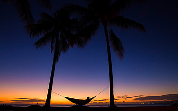 Night, Palms, Dark, Silhouettes, Rest, Relaxation, Tropics, Hammock HD wallpaper