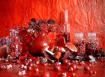 red play, fruit, blood, life, red HD wallpaper
