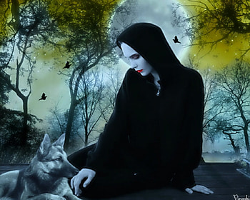 Goth Night, dog, black, moon, art, woman HD wallpaper