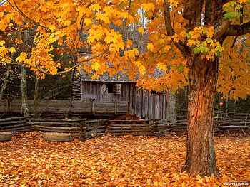 Landscape, Houses, Autumn, Leaves HD wallpaper
