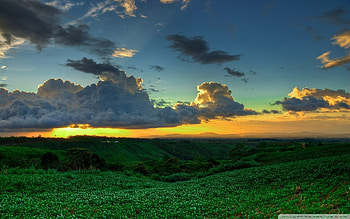 Spring Meadow, landscape, clouds, meadow, nature, spring, sunset HD wallpaper