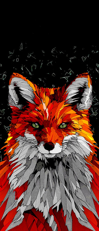 Geometric Animal, AMOLED backgrounds, Immersive visual experience HD phone wallpaper